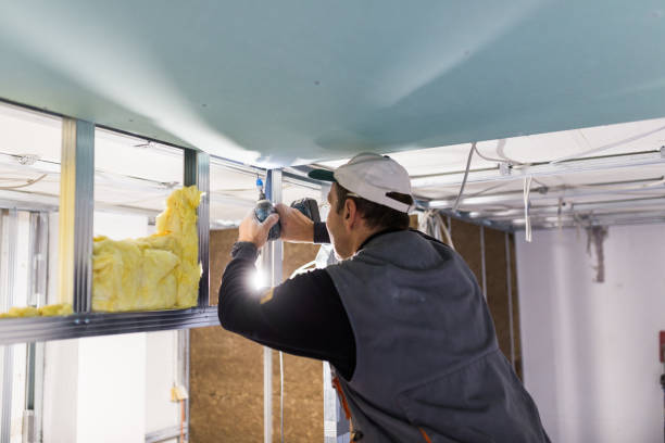 Best Insulation Maintenance and Repair in Lonville, GA