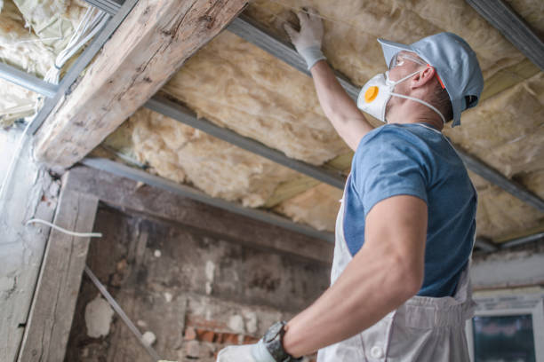 Best Spray Foam Insulation in Lonville, GA