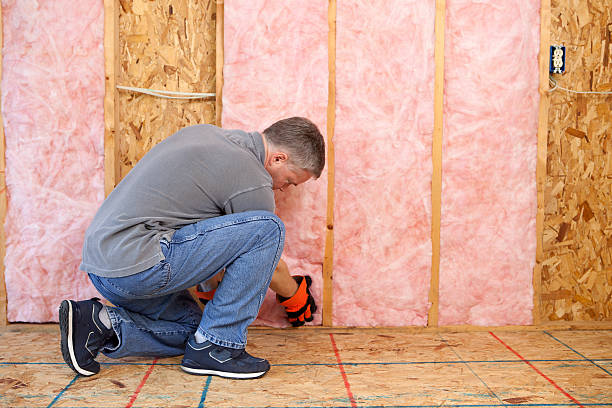 Best Eco-Friendly Insulation in Lonville, GA