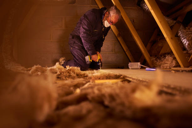 Best Specialized Insulation Services in Lonville, GA